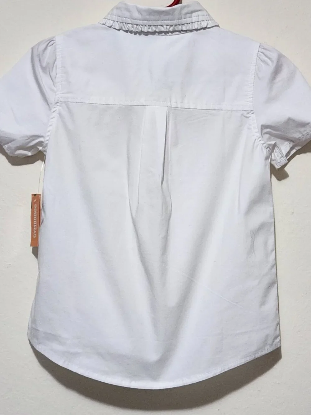 Gymboree Playproof Ruffle Poplin Button-Up Soft Girl Twee Light Academia Shirt 8